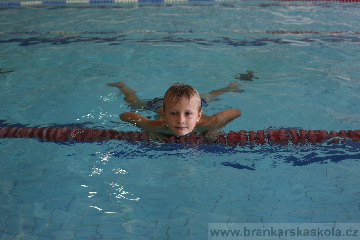 BFŠJCH - Léto 2017 - 29.7.2018