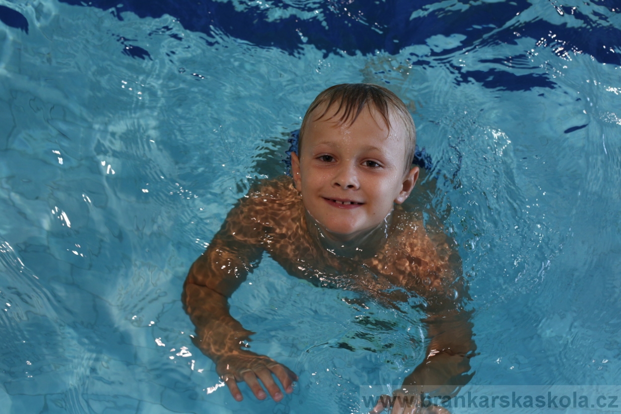 BFŠJCH - Léto 2017 - 29.7.2018