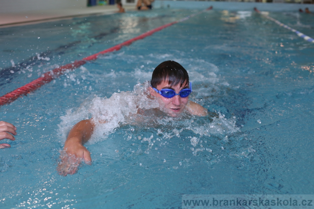 BFŠJCH - Léto 2017 - 29.7.2018