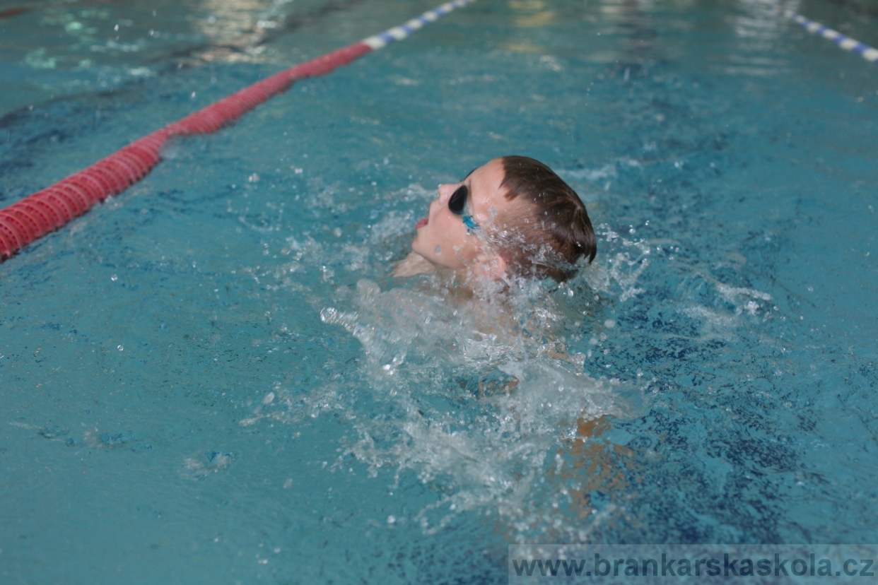 BFŠJCH - Léto 2017 - 29.7.2018