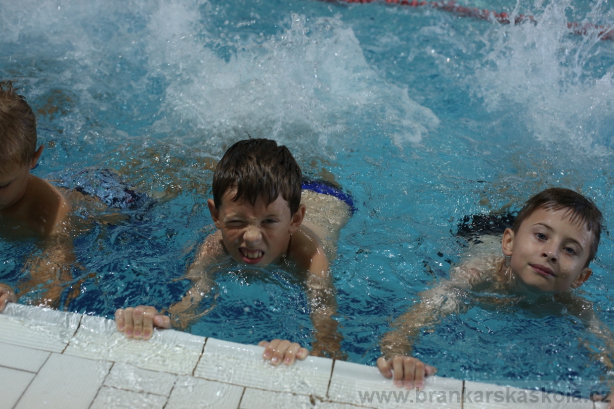 BFŠJCH - Léto 2017 - 29.7.2018