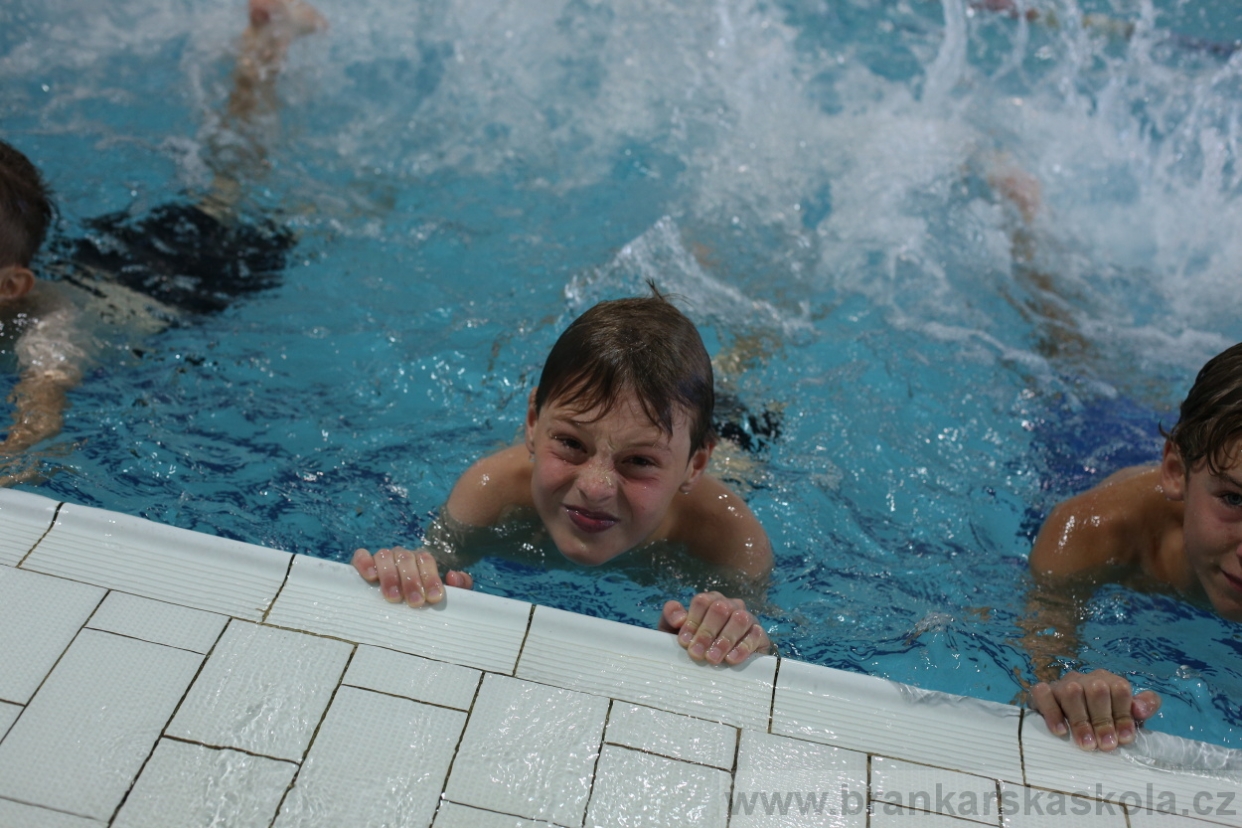 BFŠJCH - Léto 2017 - 29.7.2018
