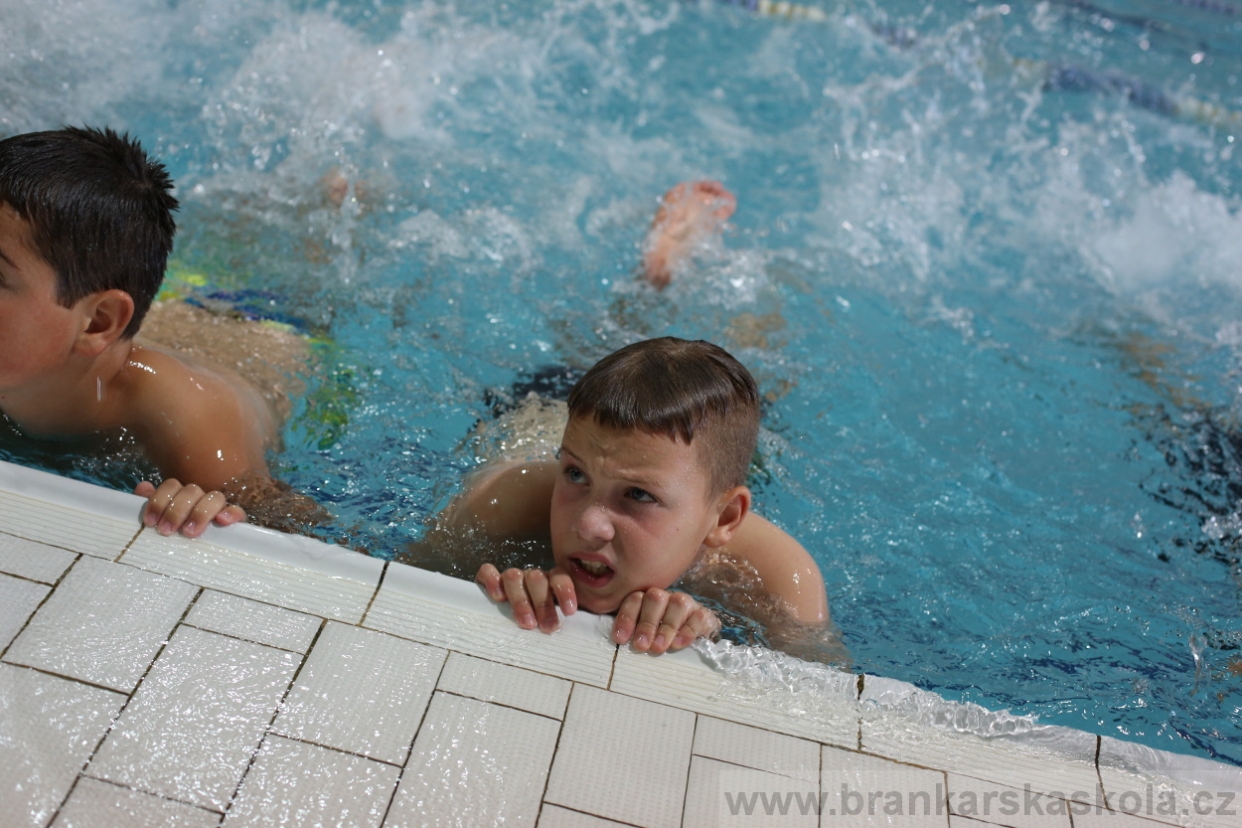 BFŠJCH - Léto 2017 - 29.7.2018