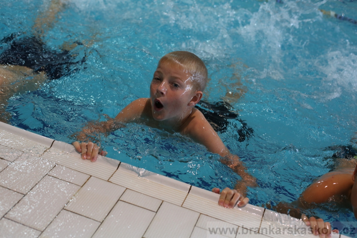 BFŠJCH - Léto 2017 - 29.7.2018