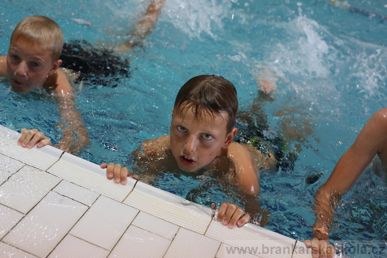 BFŠJCH - Léto 2017 - 29.7.2018