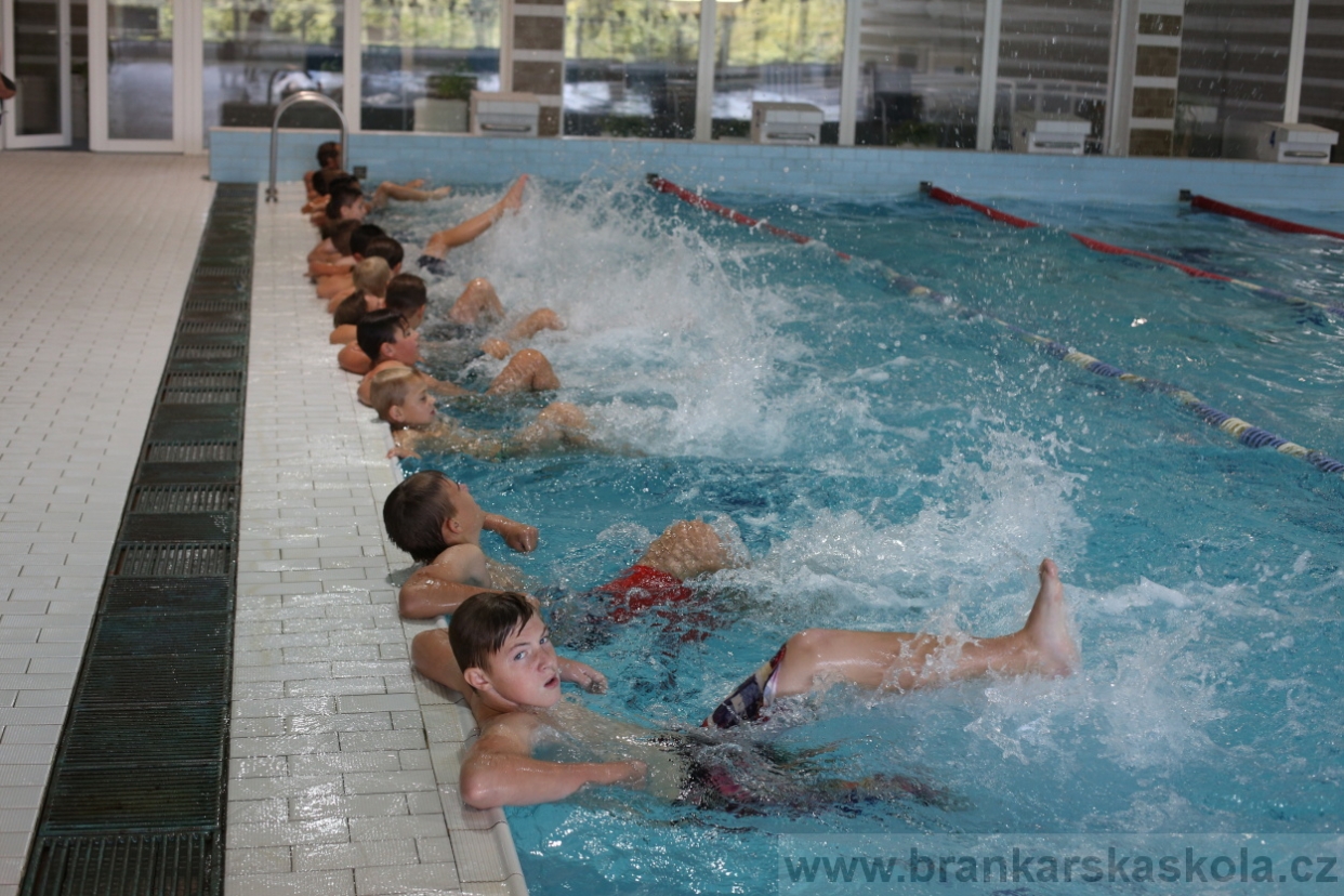 BFŠJCH - Léto 2017 - 29.7.2018