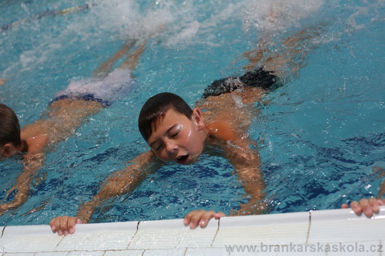 BFŠJCH - Léto 2017 - 29.7.2018