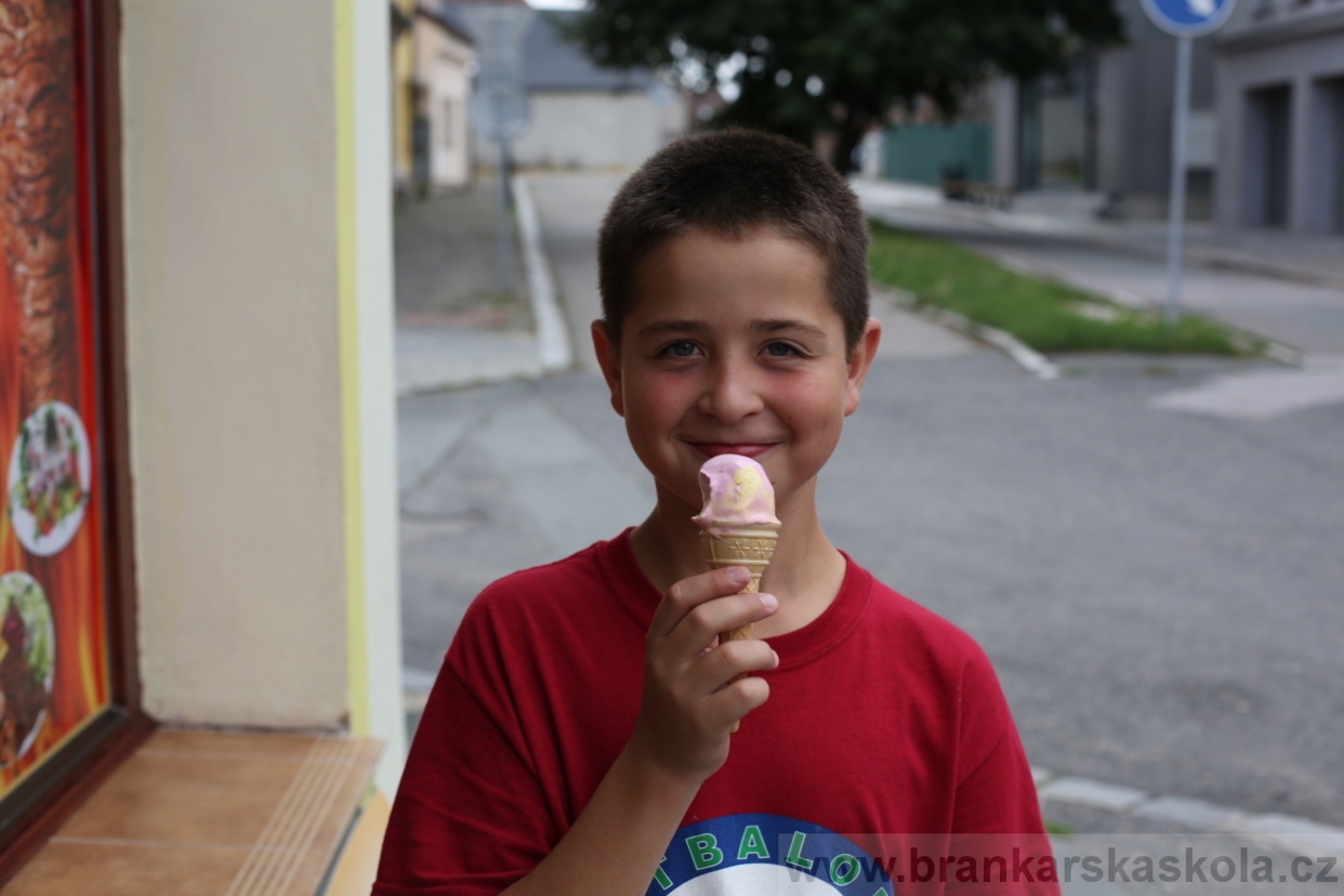 BFŠJCH - Léto 2017 - 29.7.2018