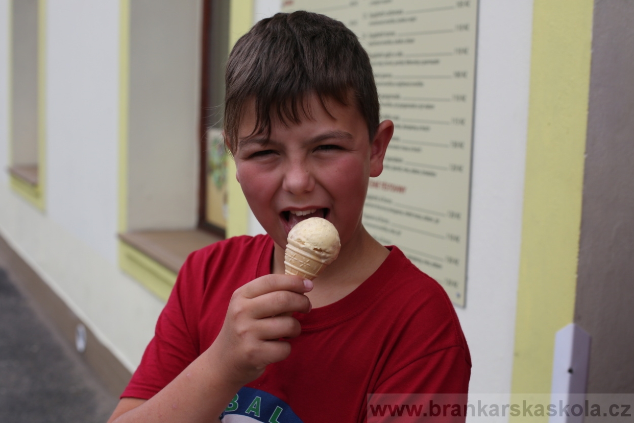 BFŠJCH - Léto 2017 - 29.7.2018