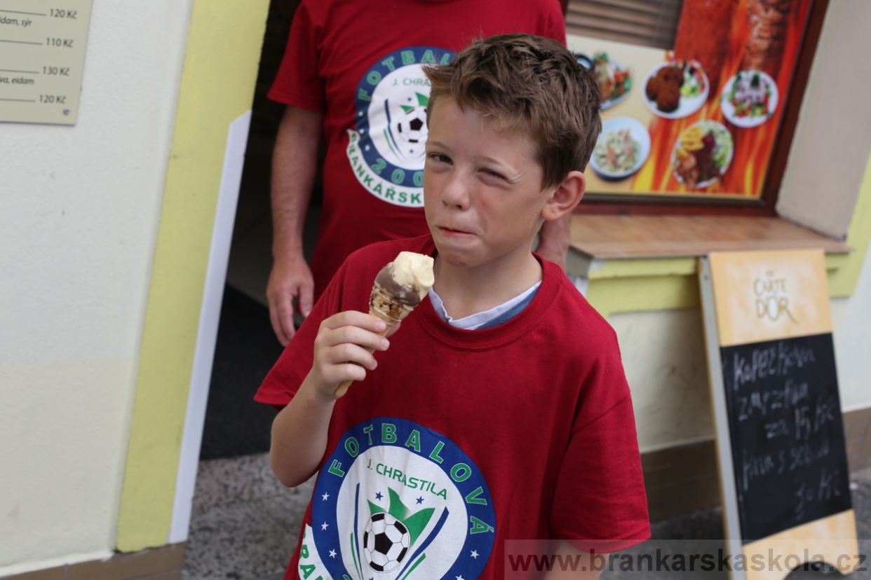 BFŠJCH - Léto 2017 - 29.7.2018