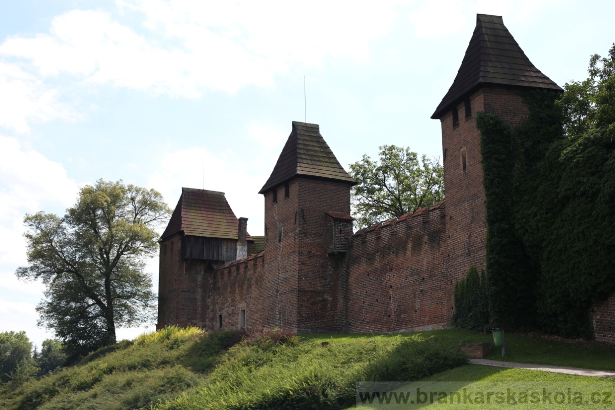 BFŠJCH - Léto 2017 - 29.7.2018