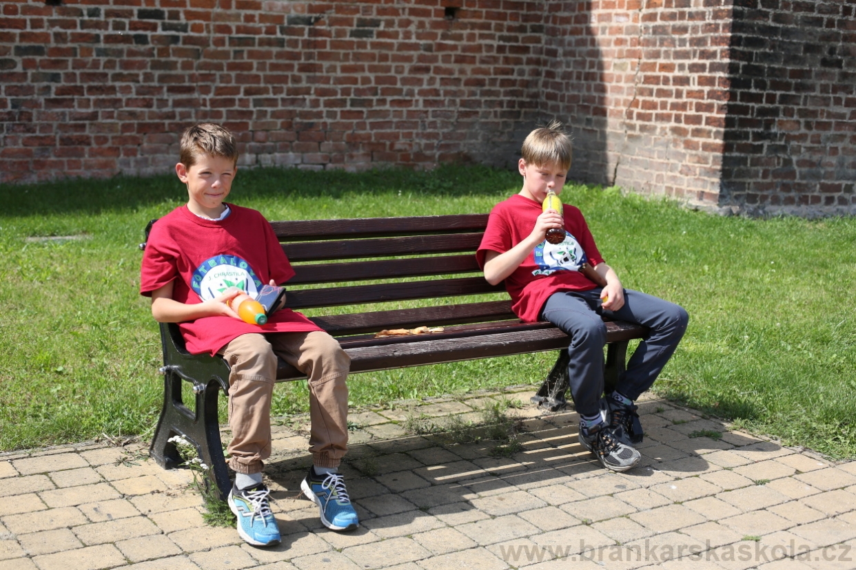 BFŠJCH - Léto 2017 - 29.7.2018