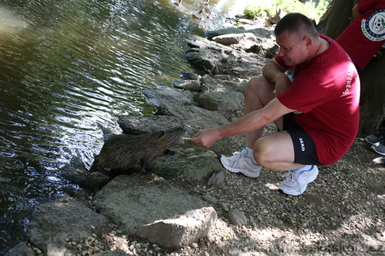 BFŠJCH - Léto 2017 - 29.7.2018