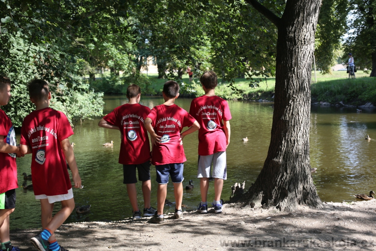 BFŠJCH - Léto 2017 - 29.7.2018