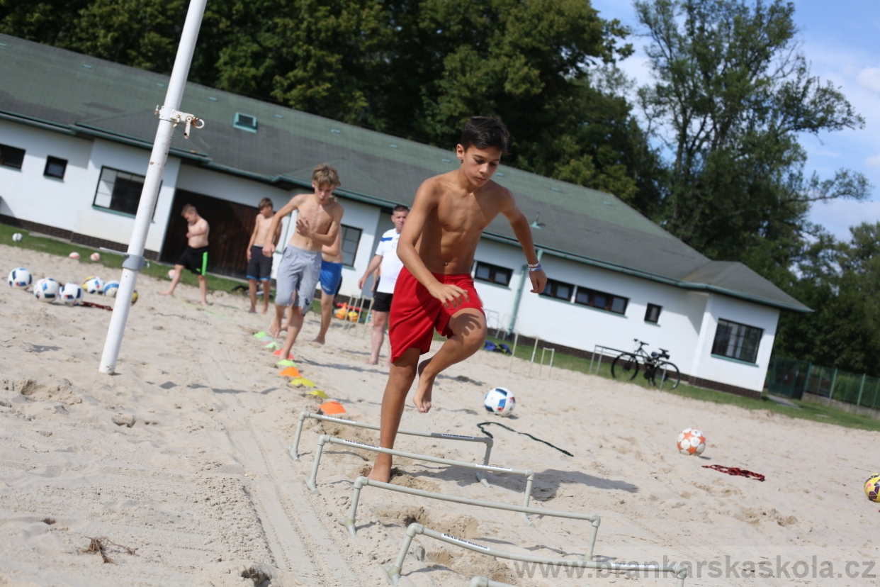 BFŠJCH - Léto 2017 - 29.7.2018