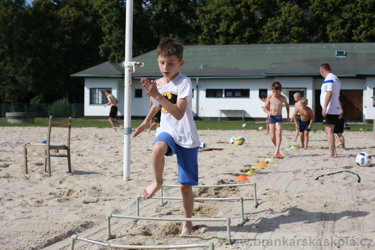 BFŠJCH - Léto 2017 - 29.7.2018