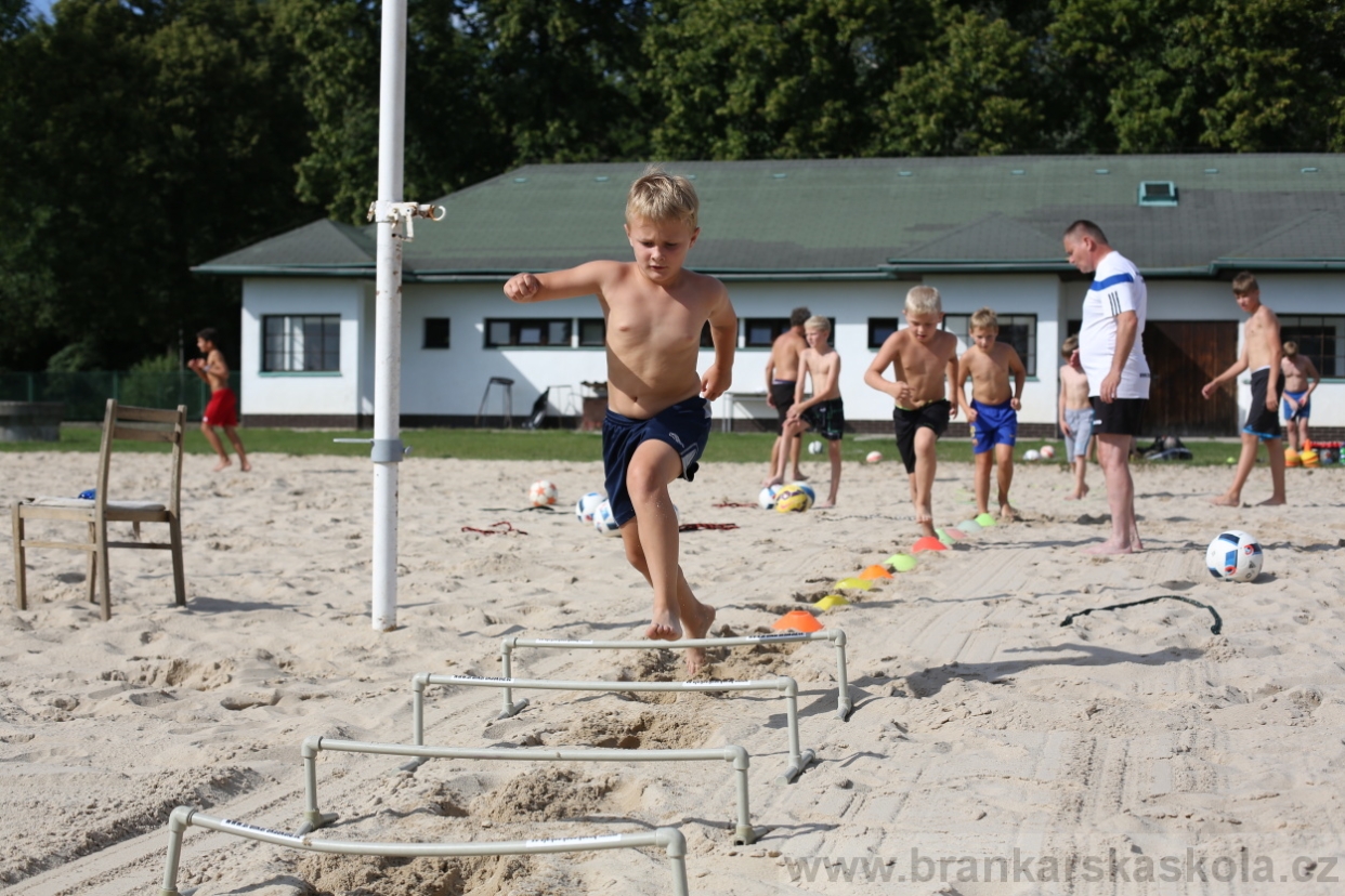 BFŠJCH - Léto 2017 - 29.7.2018