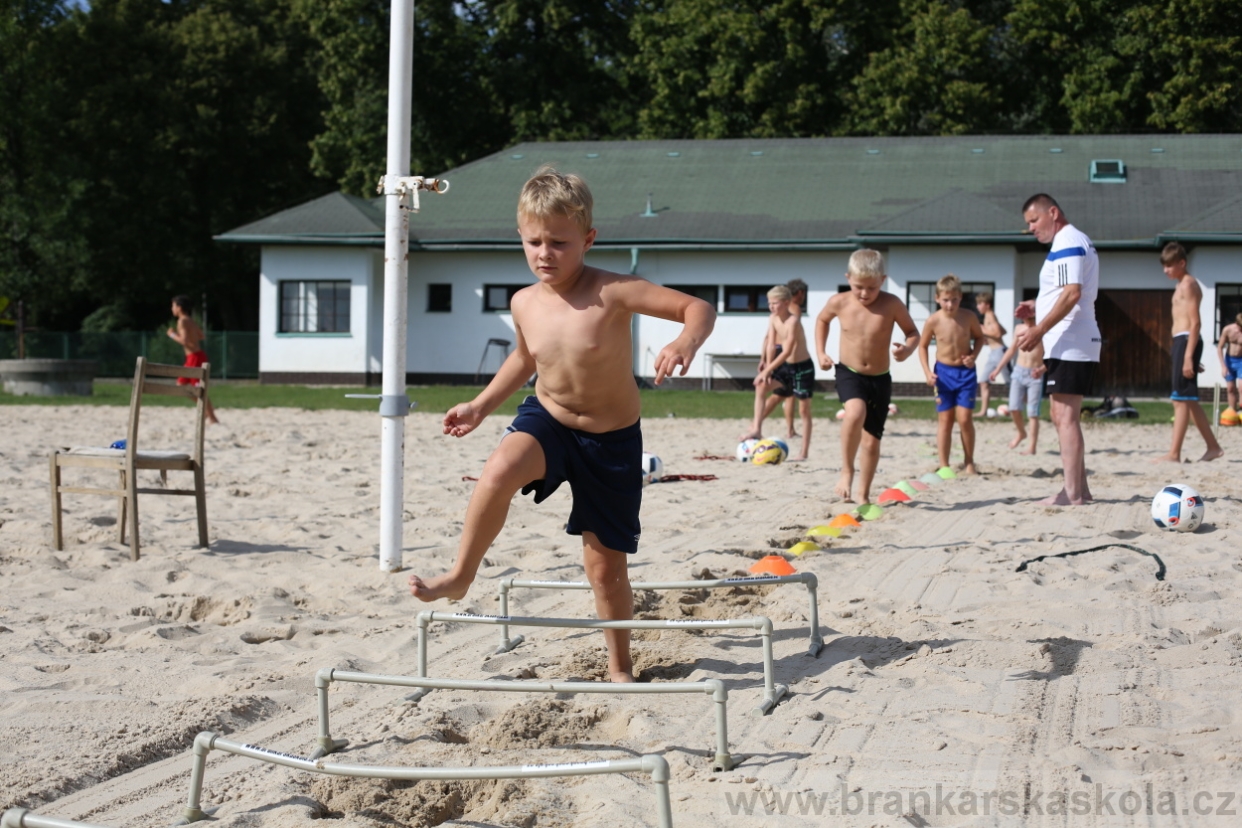 BFŠJCH - Léto 2017 - 29.7.2018