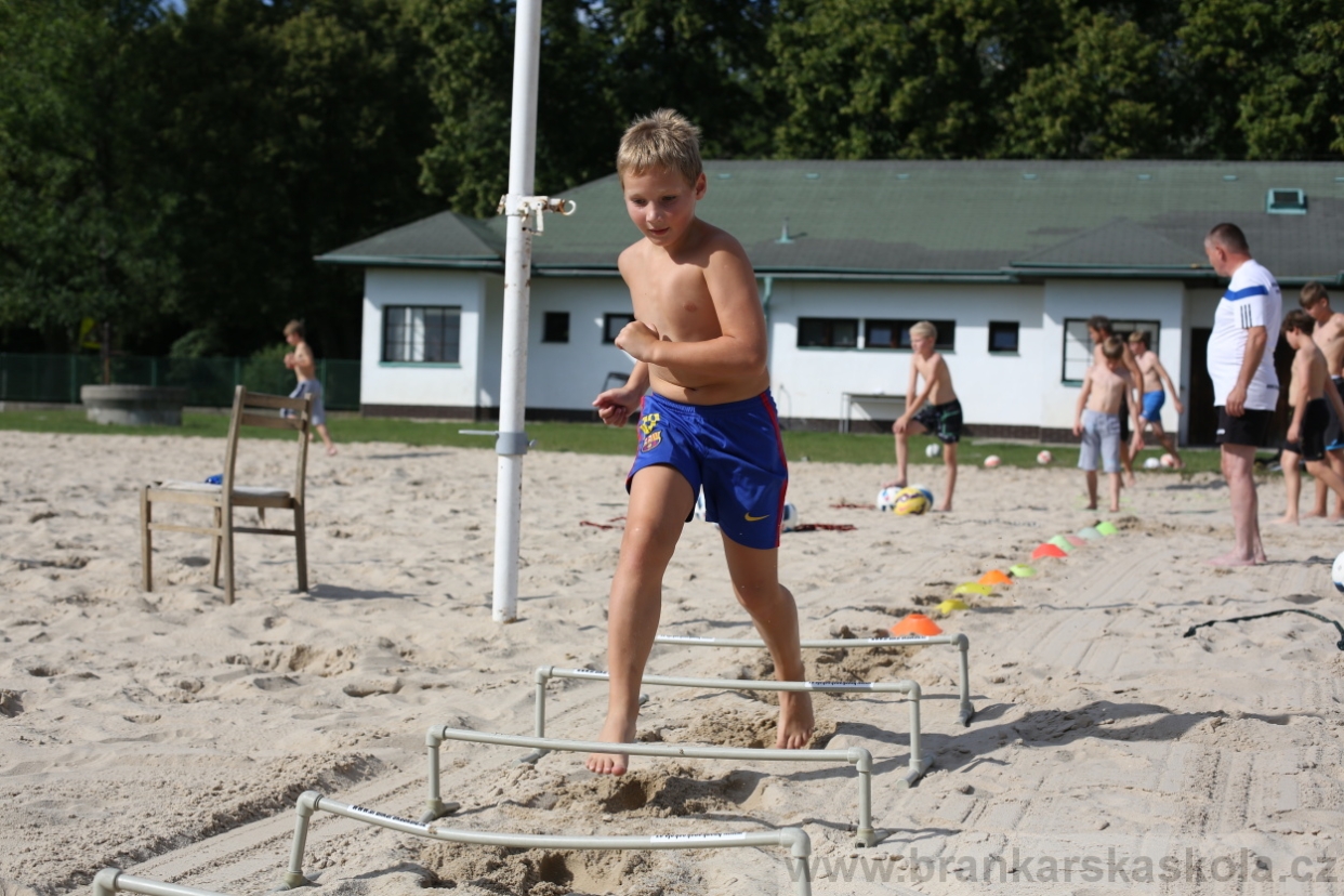 BFŠJCH - Léto 2017 - 29.7.2018