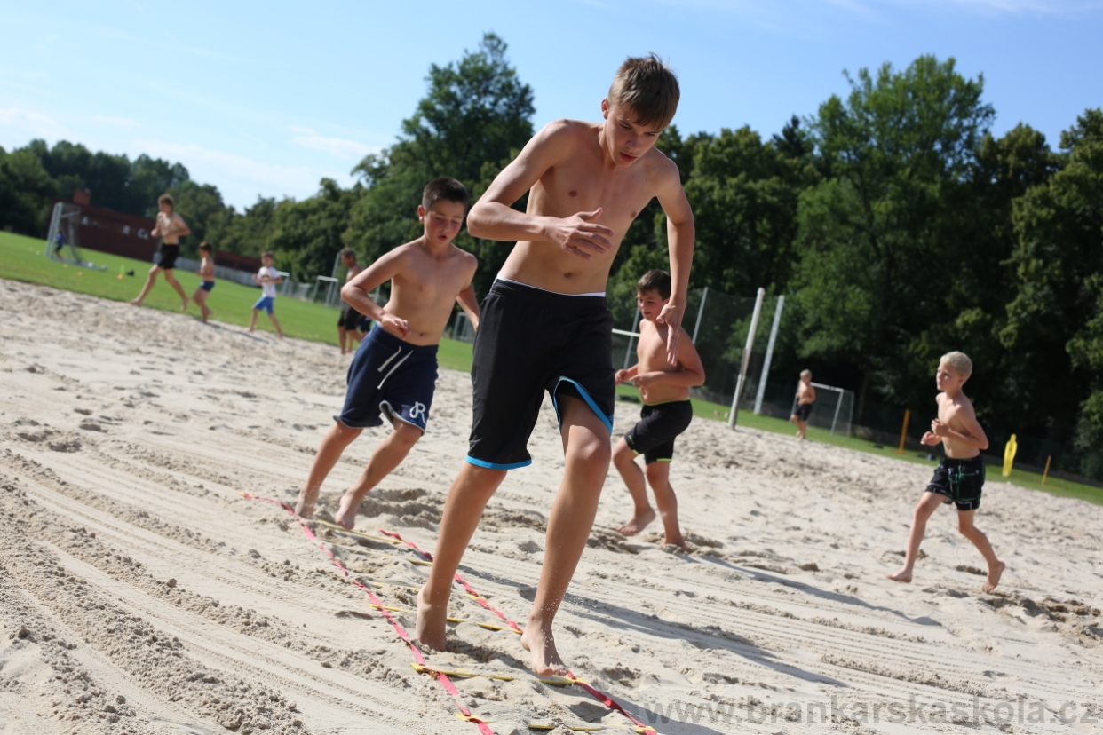 BFŠJCH - Léto 2017 - 29.7.2018