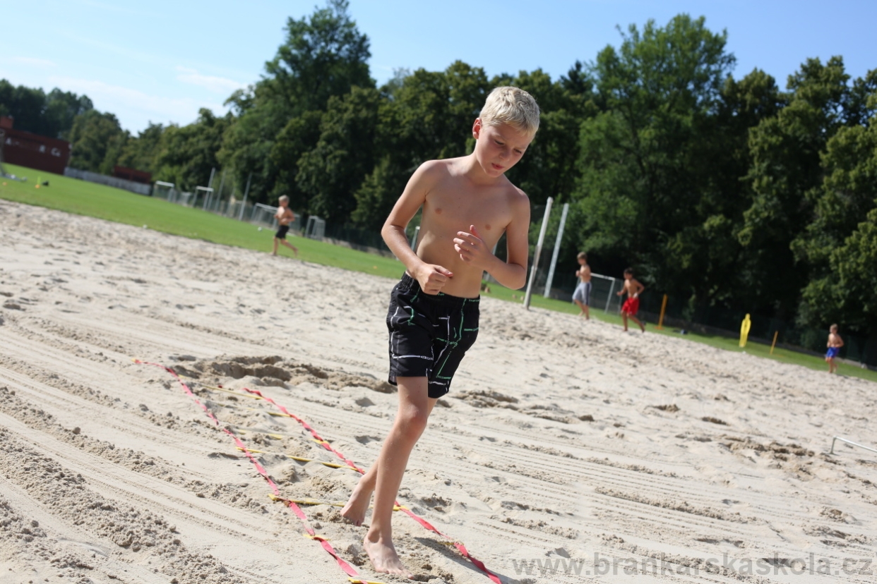 BFŠJCH - Léto 2017 - 29.7.2018