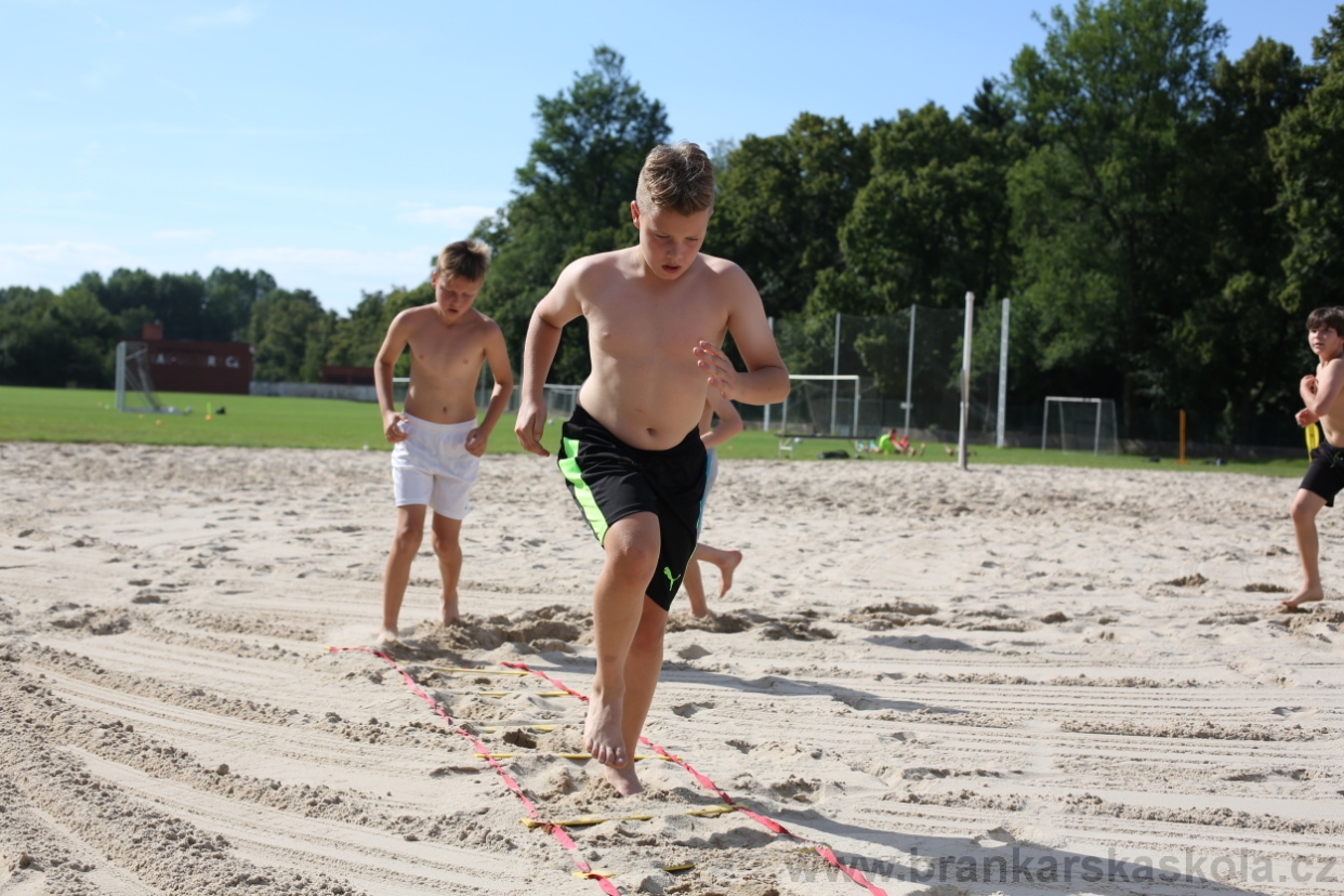 BFŠJCH - Léto 2017 - 29.7.2018