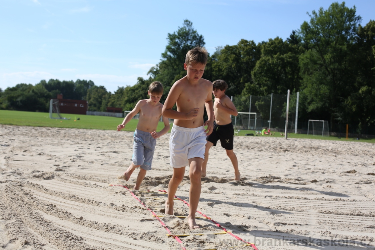 BFŠJCH - Léto 2017 - 29.7.2018