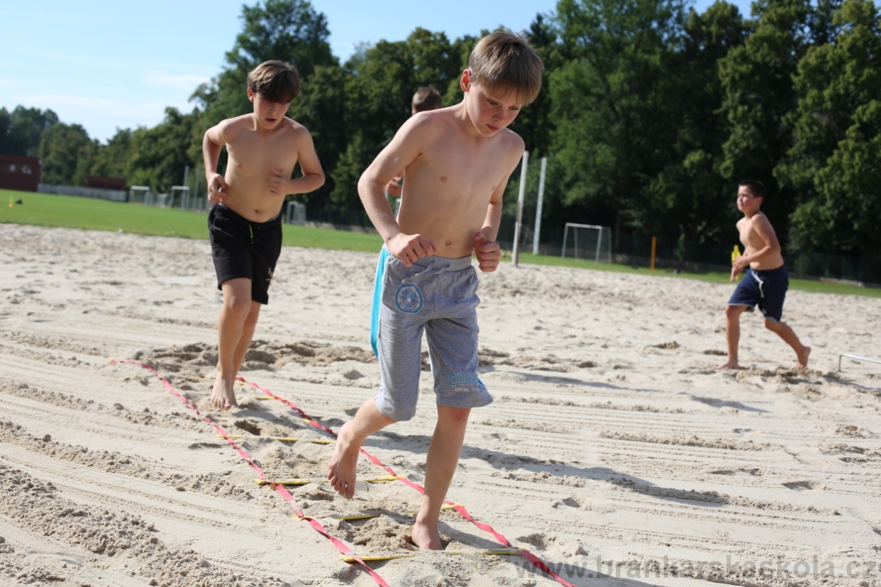 BFŠJCH - Léto 2017 - 29.7.2018