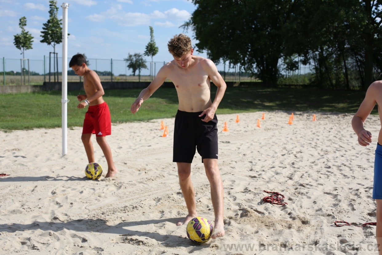 BFŠJCH - Léto 2017 - 29.7.2018