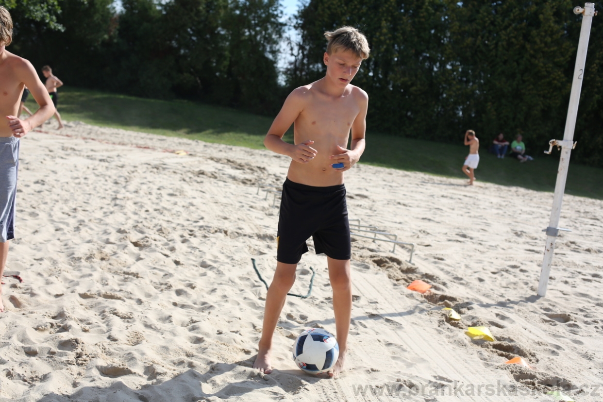 BFŠJCH - Léto 2017 - 29.7.2018