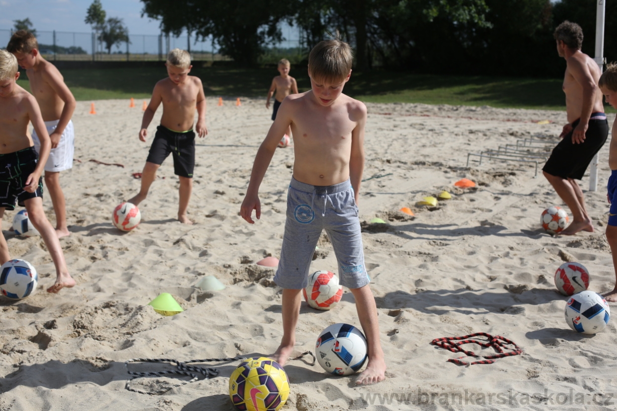 BFŠJCH - Léto 2017 - 29.7.2018