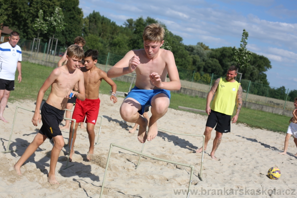 BFŠJCH - Léto 2017 - 29.7.2018