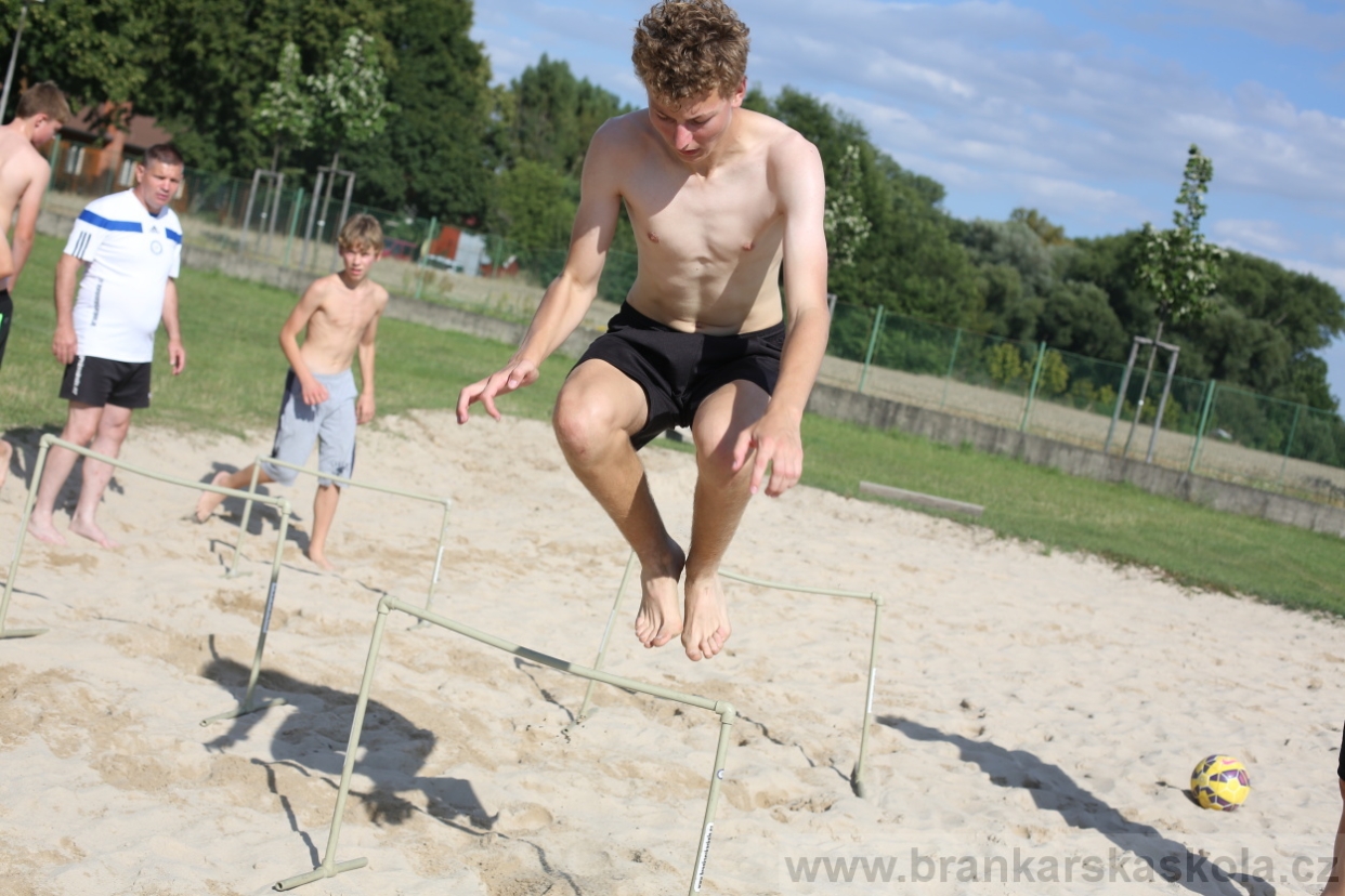 BFŠJCH - Léto 2017 - 29.7.2018