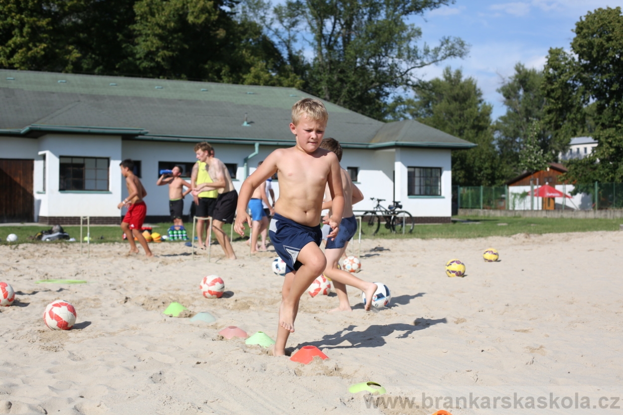 BFŠJCH - Léto 2017 - 29.7.2018