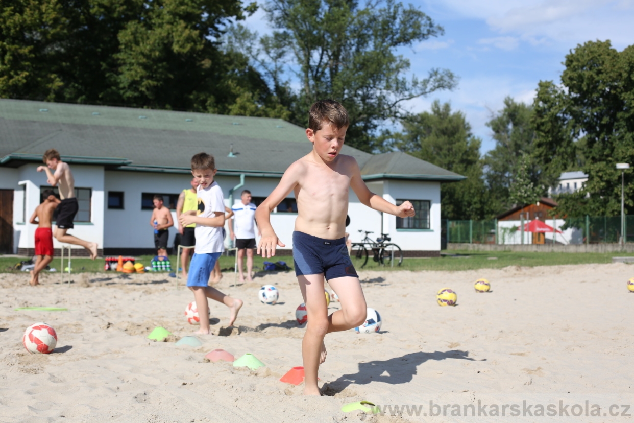 BFŠJCH - Léto 2017 - 29.7.2018