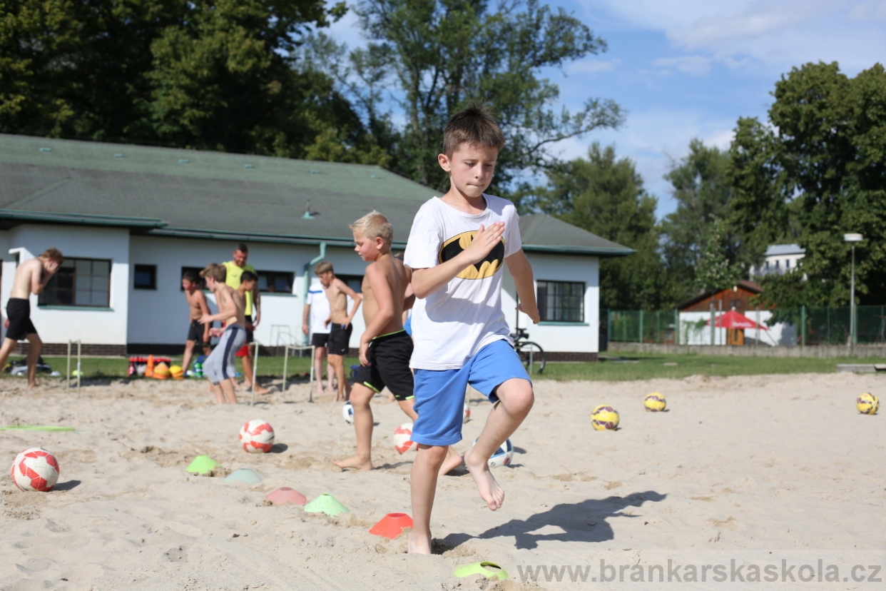 BFŠJCH - Léto 2017 - 29.7.2018