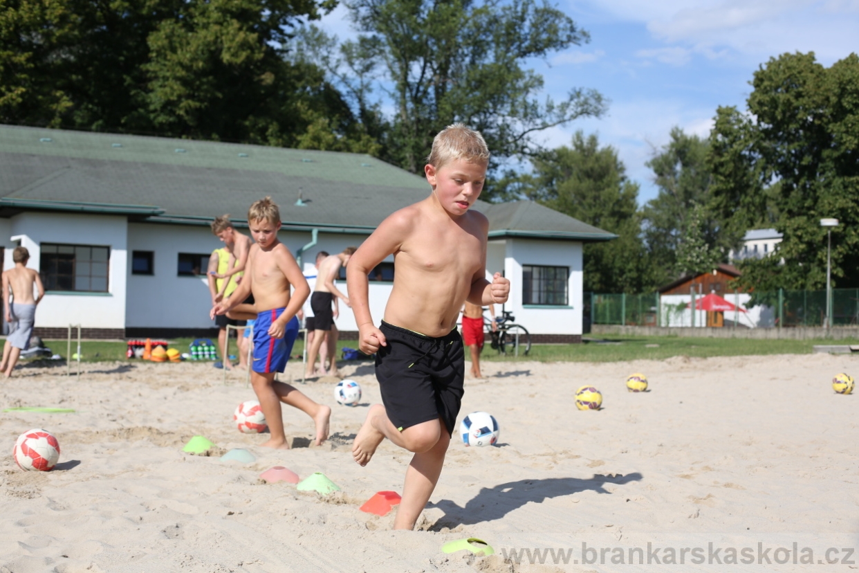 BFŠJCH - Léto 2017 - 29.7.2018