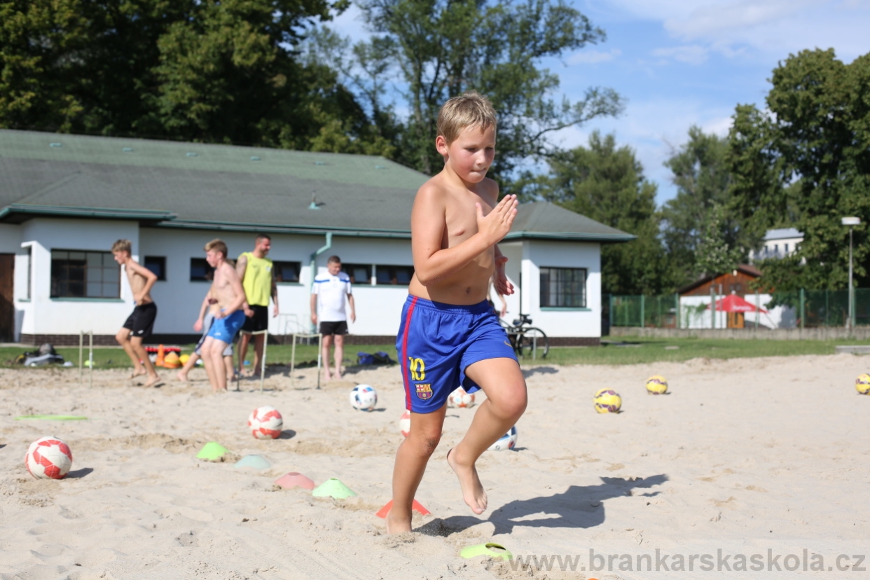 BFŠJCH - Léto 2017 - 29.7.2018