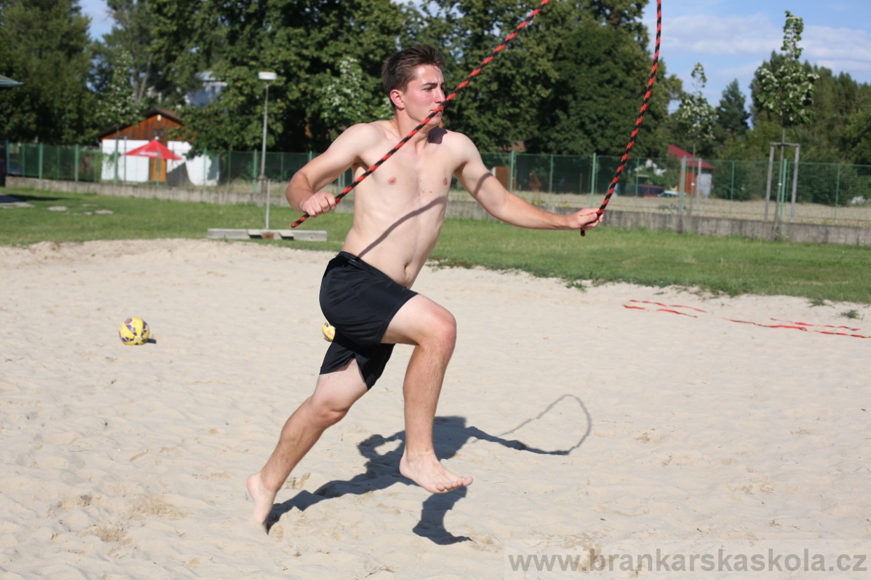 BFŠJCH - Léto 2017 - 29.7.2018