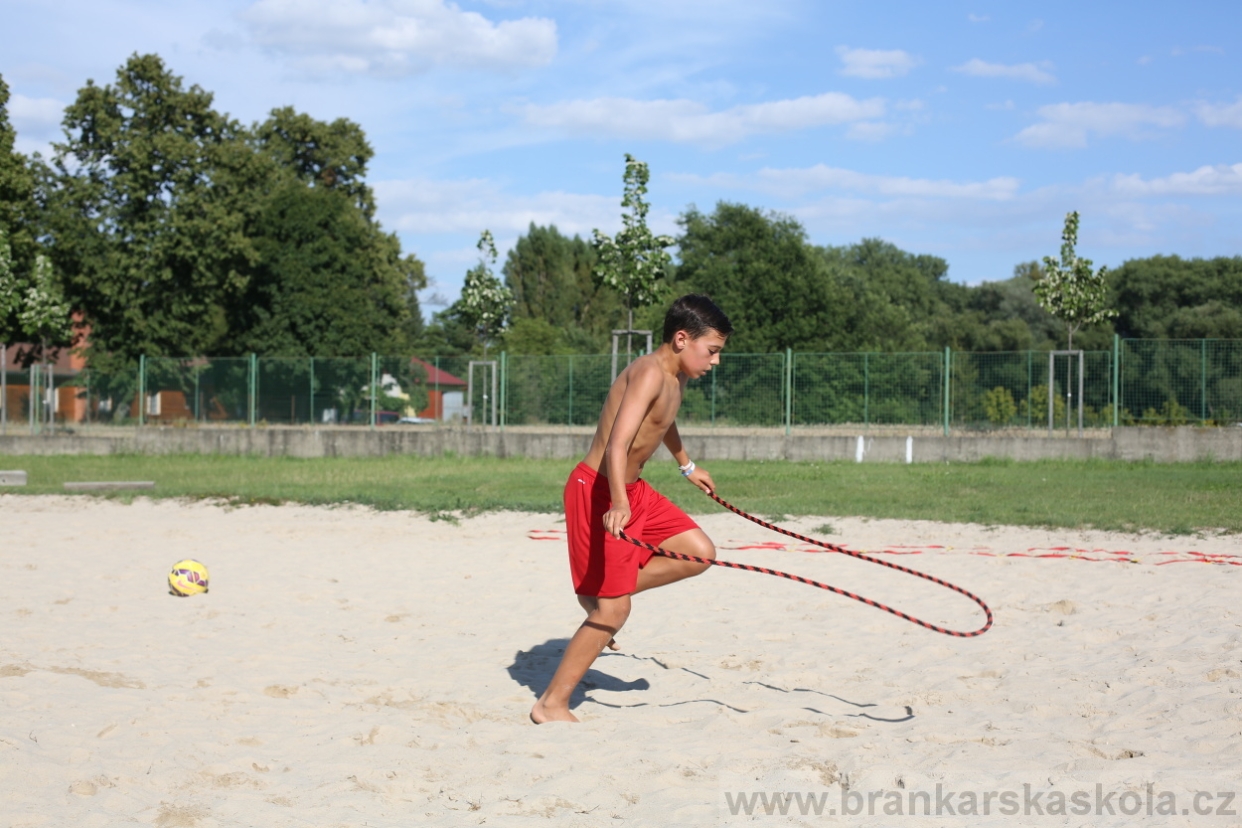 BFŠJCH - Léto 2017 - 29.7.2018