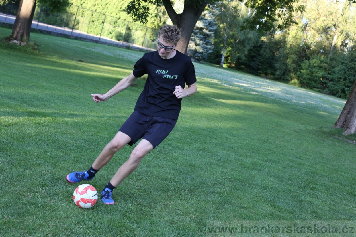 BFŠJCH - Léto 2017 - 29.7.2018