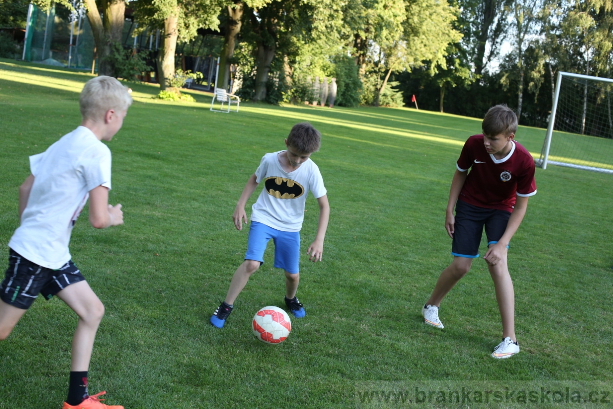 BFŠJCH - Léto 2017 - 29.7.2018