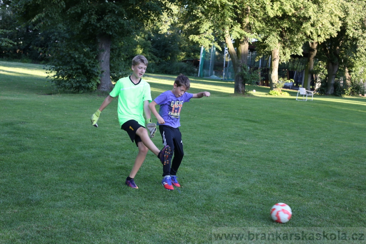 BFŠJCH - Léto 2017 - 29.7.2018