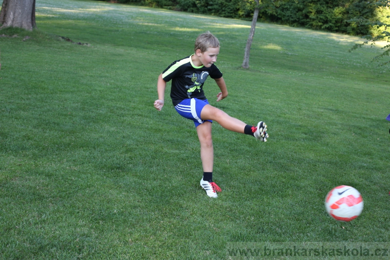 BFŠJCH - Léto 2017 - 29.7.2018