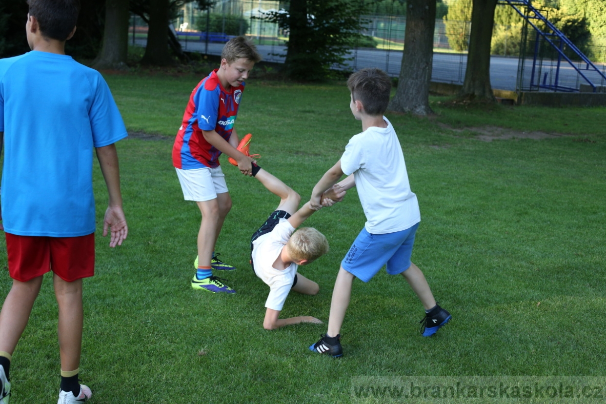 BFŠJCH - Léto 2017 - 29.7.2018