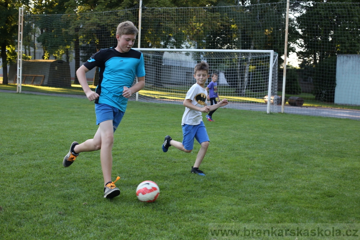 BFŠJCH - Léto 2017 - 29.7.2018