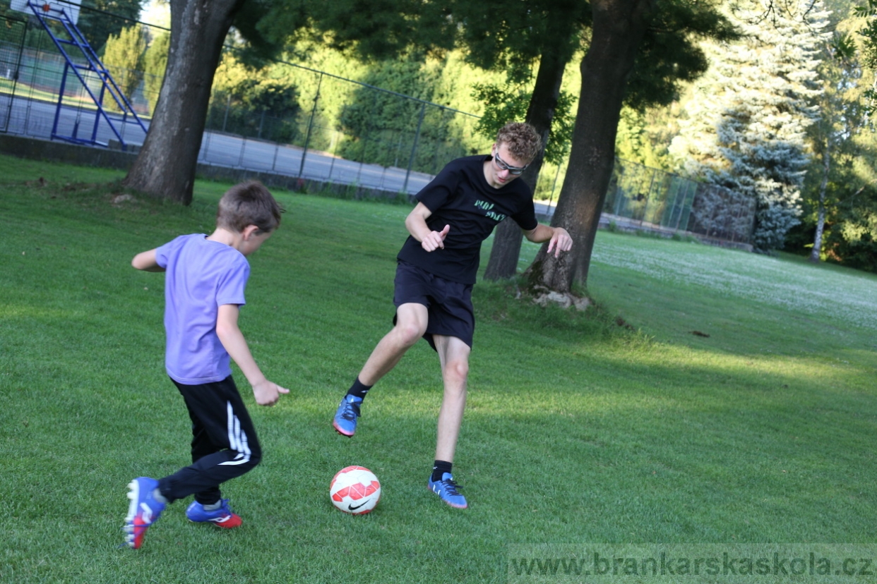 BFŠJCH - Léto 2017 - 29.7.2018