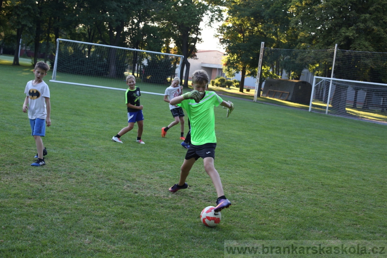 BFŠJCH - Léto 2017 - 29.7.2018