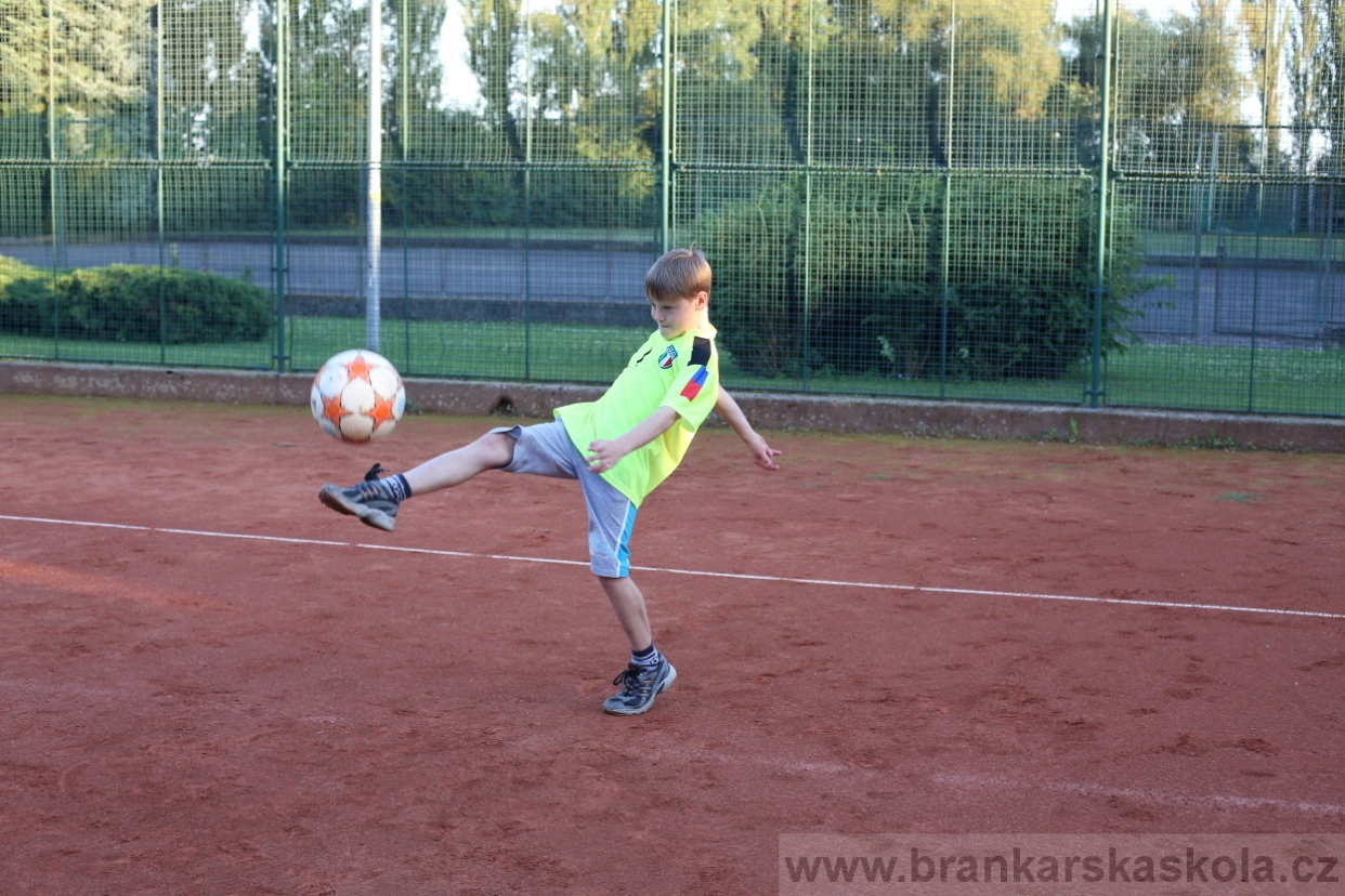 BFŠJCH - Léto 2017 - 29.7.2018