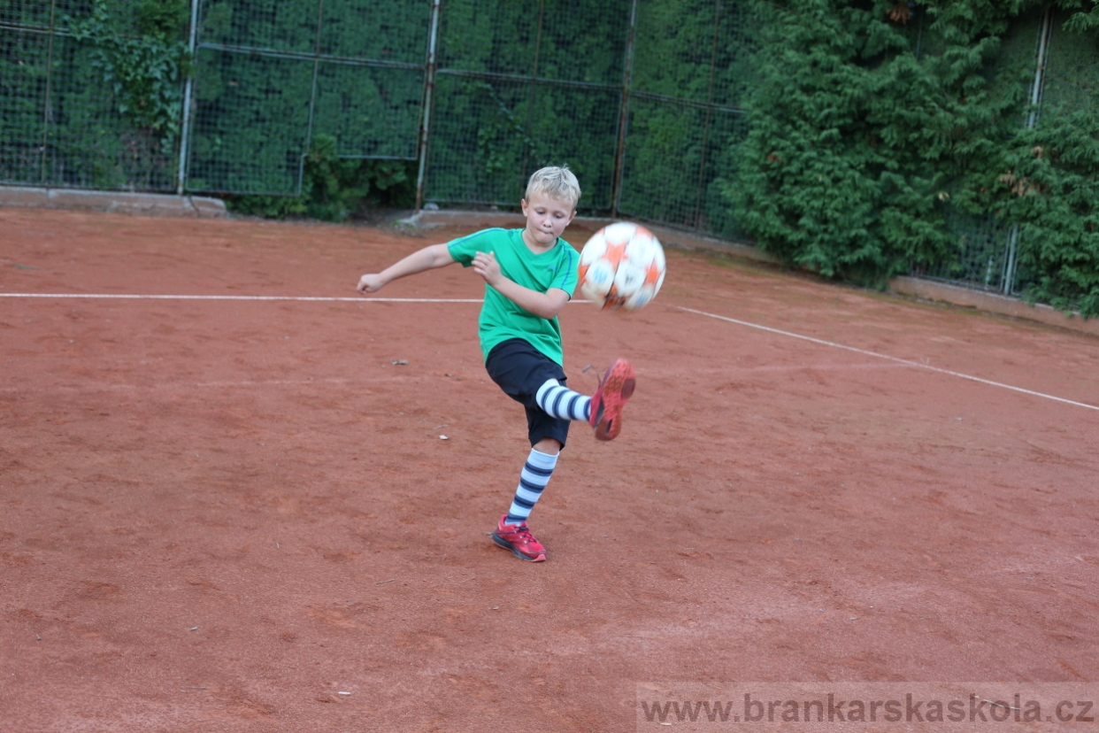 BFŠJCH - Léto 2017 - 29.7.2018